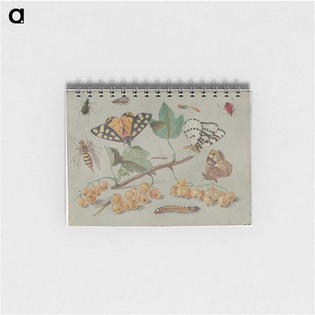 1-22_Jan-Van-Kessel_memo