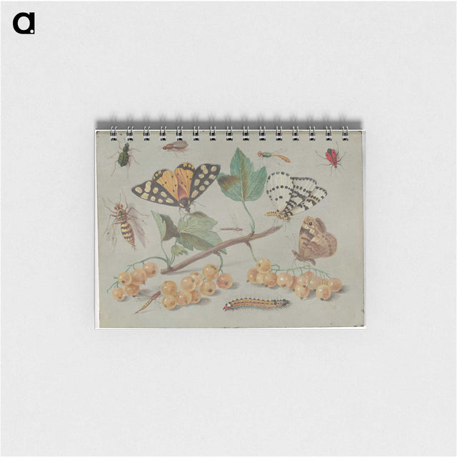 1-22_Jan-Van-Kessel_memo