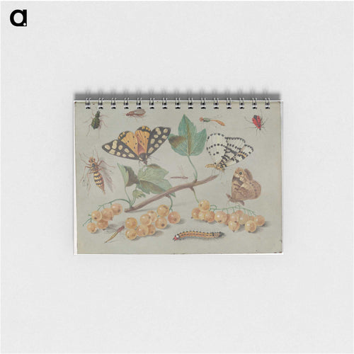 Butterfly and Insects
 - ヤン ファン ケッセル Memo.