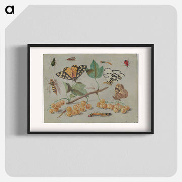 Butterfly and Insects
 - ヤン ファン ケッセル Poster.