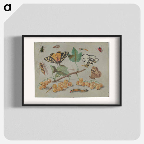 Butterfly and Insects
 - ヤン ファン ケッセル Poster.