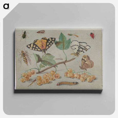 アートパネル-Butterfly and Insects
 - ヤン ファン ケッセル Canvas.