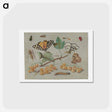 アートポストカード-Butterfly and Insects
 - ヤン ファン ケッセル Postcard.