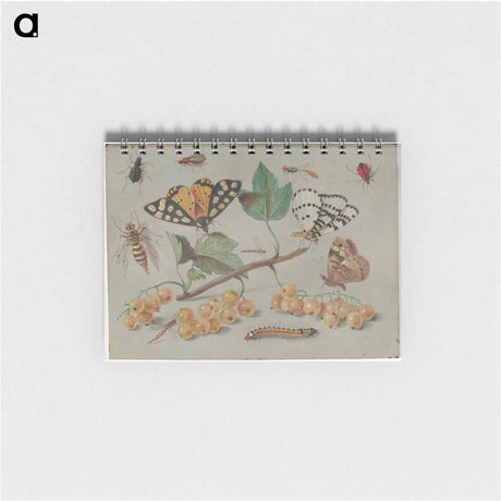 アートメモ帳-Butterfly and Insects
 - ヤン ファン ケッセル Memo.