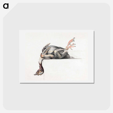 アートポストカード-Plucked bird, hanging head down - ジャン ベルナール Postcard.
