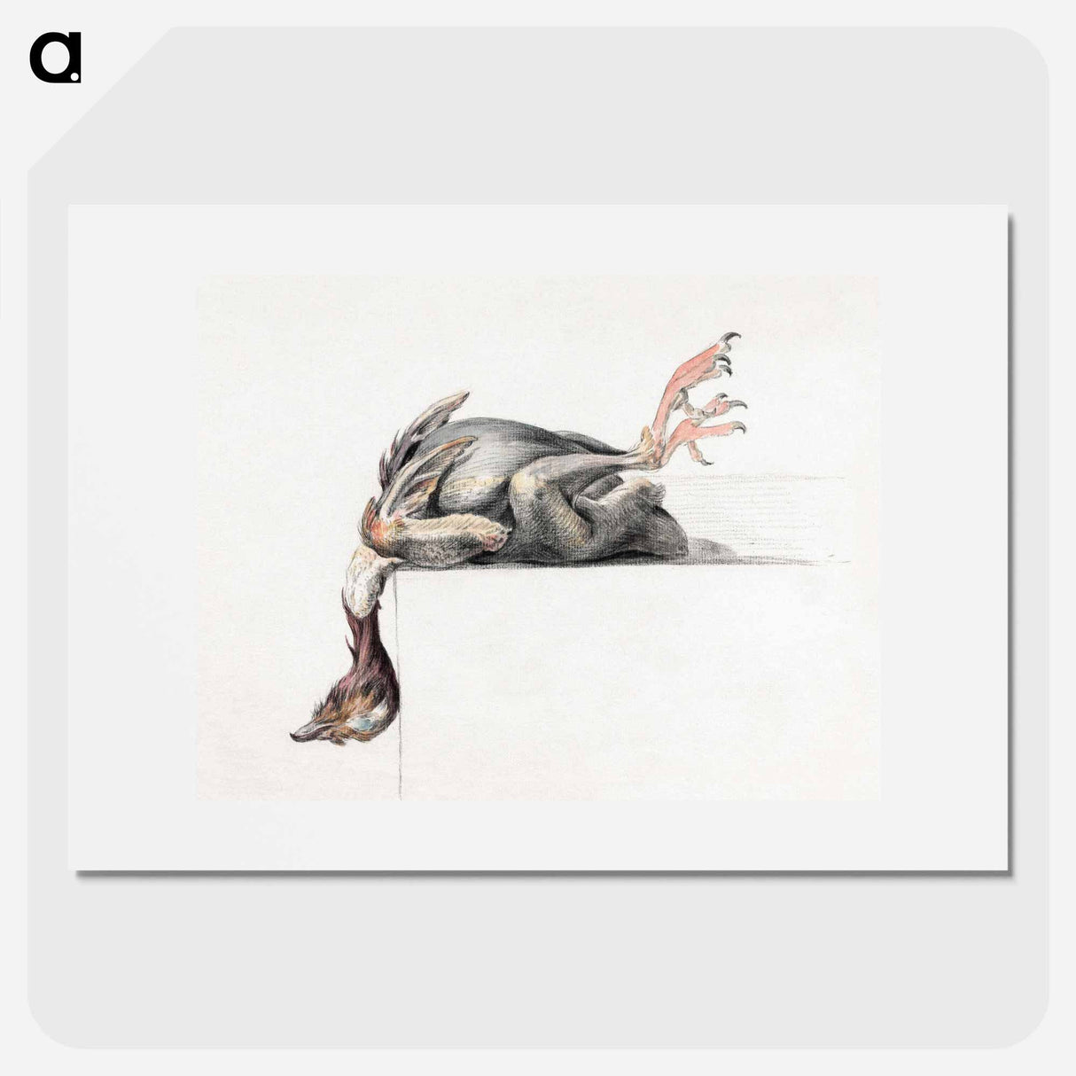 Plucked bird, hanging head down - ジャン ベルナール Poster.