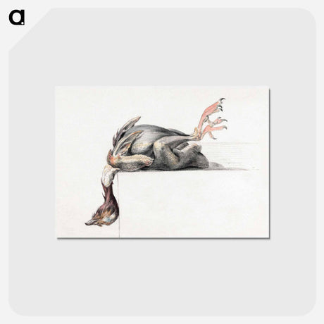 アートポストカード-Plucked bird, hanging head down - ジャン ベルナール Postcard.
