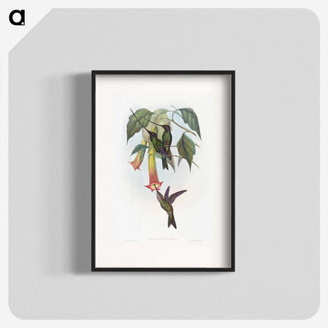 1-22_John-Gould_blk