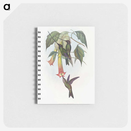 1-22_John-Gould_memo
