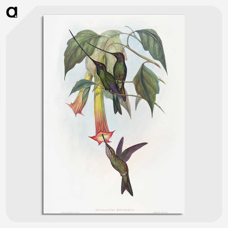 1-22_John-Gould_picture-crop