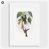 1-22_John-Gould_picture