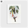1-22_John-Gould_postcard