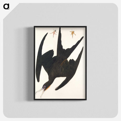 1-22_John-James-Audubon_blk-crop