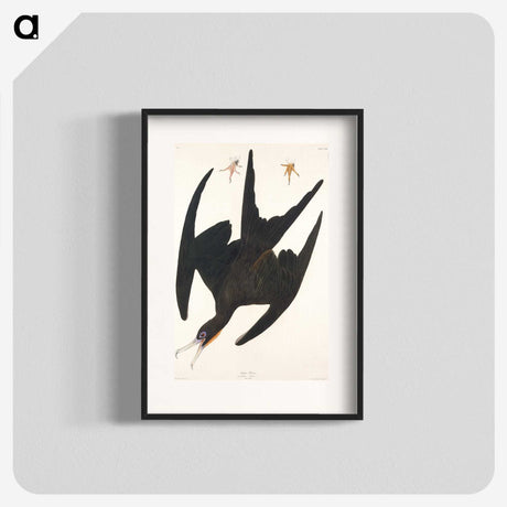 1-22_John-James-Audubon_blk