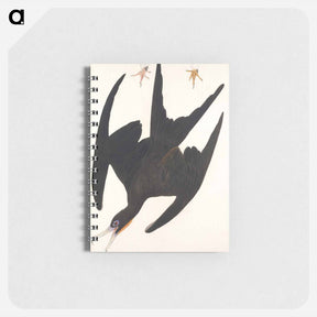 アートメモ帳-Frigate Pelican
 - ジョン ジェームス オーデュボン Memo.