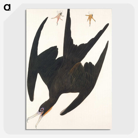 1-22_John-James-Audubon_picture-crop