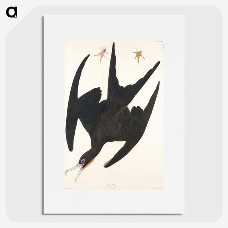1-22_John-James-Audubon_picture
