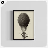 1-22_Karl-Blossfeldt_blk-crop