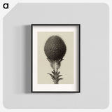 1-22_Karl-Blossfeldt_blk