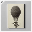 1-22_Karl-Blossfeldt_canvas