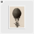 アートポストカード-Thorned bulbous plant - カール ブロスフェルト Postcard.