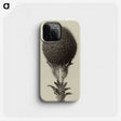 1-22_Karl-Blossfeldt_phone