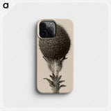 Thorned bulbous plant - Karl Blossfeldt Phone Case.