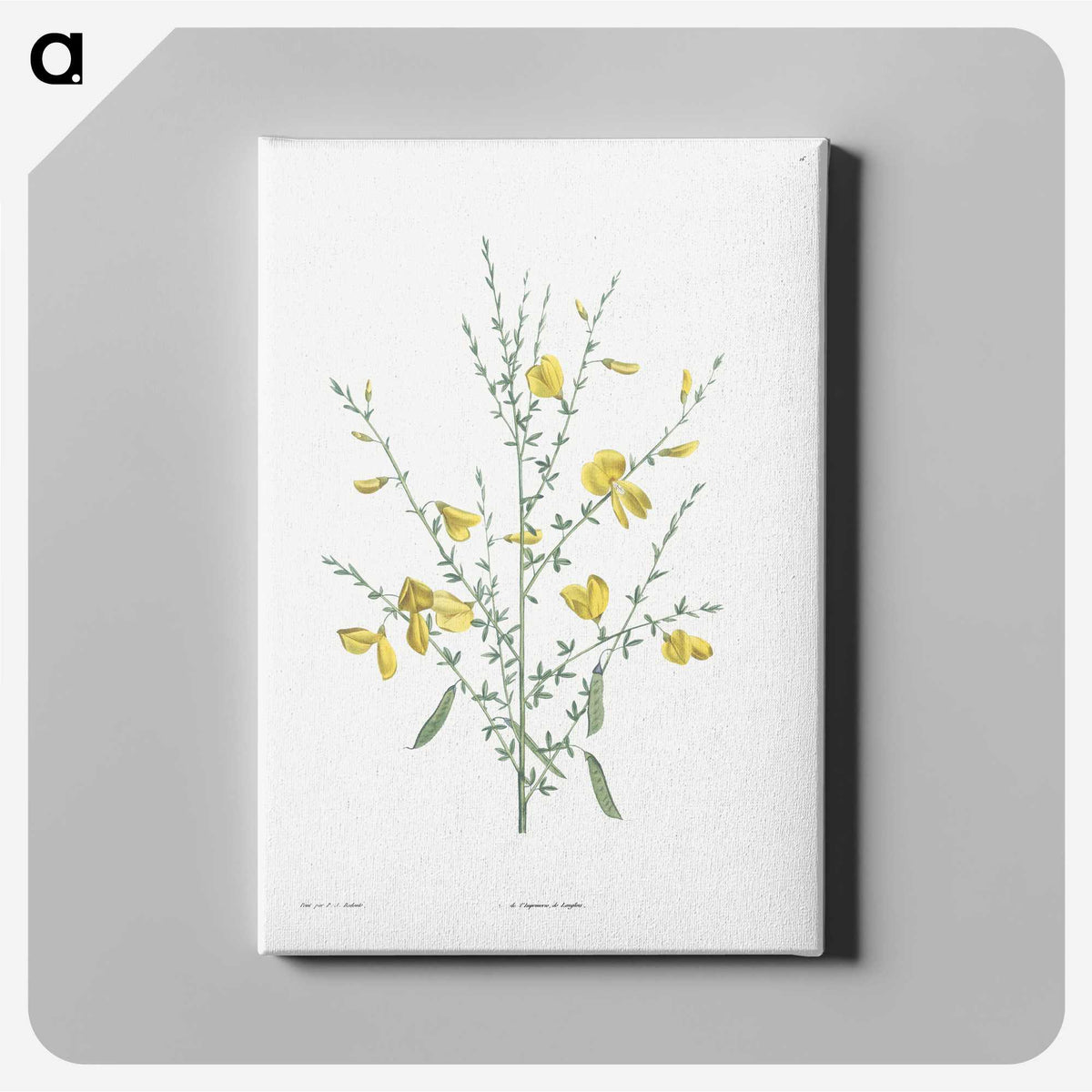 1-22_La-Botanique_canvas