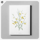 1-22_La-Botanique_canvas