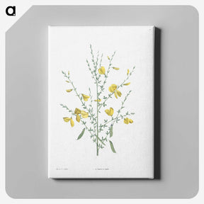 1-22_La-Botanique_canvas