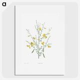 1-22_La-Botanique_picture