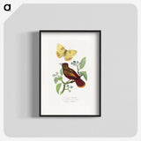 1-22_Le-Jardin-des-Plantes_blk
