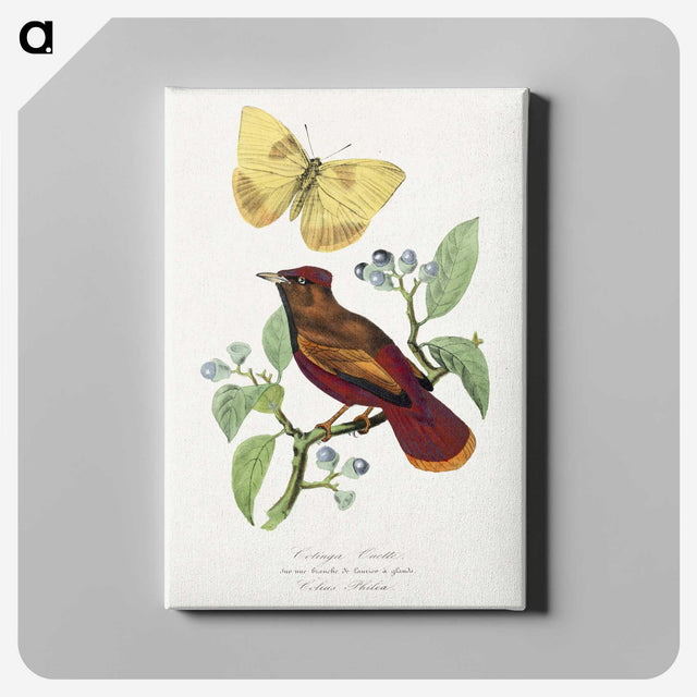 1-22_Le-Jardin-des-Plantes_canvas