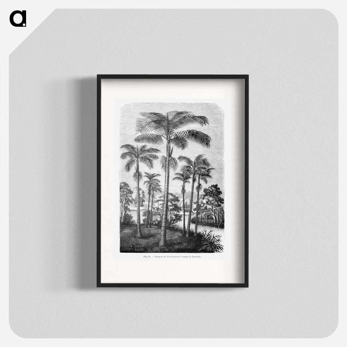 1-22_Les-Palmiers-Histoire-Iconographique_blk
