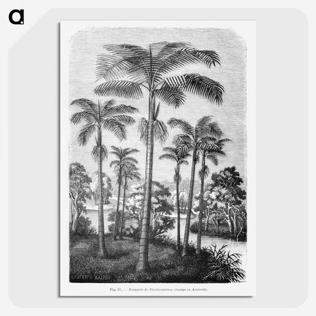 1-22_Les-Palmiers-Histoire-Iconographique_picture-crop