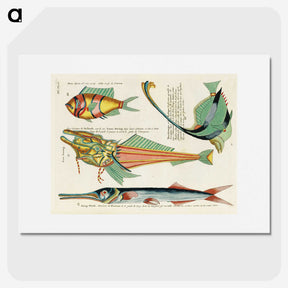 1-22_Louis-Renard_picture