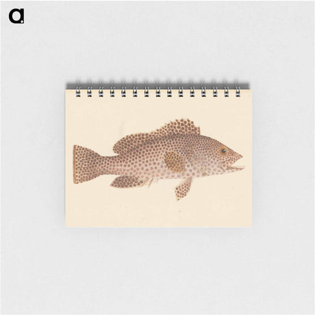 アートメモ帳-Unidentified Fish
 - ルイージ バルガーニ Memo.