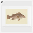 1-22_Luigi-Balugani_picture