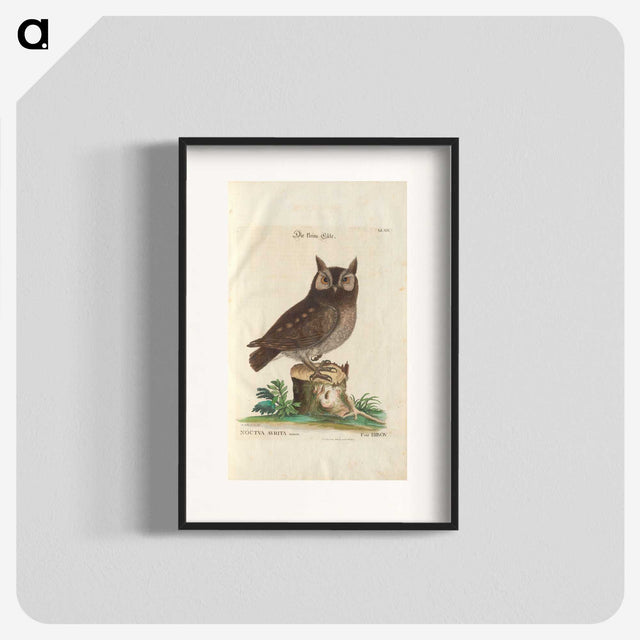 1-22_Mark-Catesby_blk