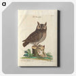 1-22_Mark-Catesby_canvas