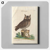 アートパネル-Little Owl
 - マーク ケイツビー Canvas.