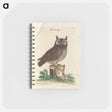 アートメモ帳-Little Owl
 - マーク ケイツビー Memo.