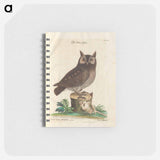 アートメモ帳-Little Owl
 - マーク ケイツビー Memo.