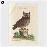 1-22_Mark-Catesby_picture-crop