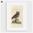 1-22_Mark-Catesby_picture
