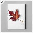 1-22_Mary-Vaux-Walcott_canvas