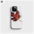 1-22_Mary-Vaux-Walcott_phone