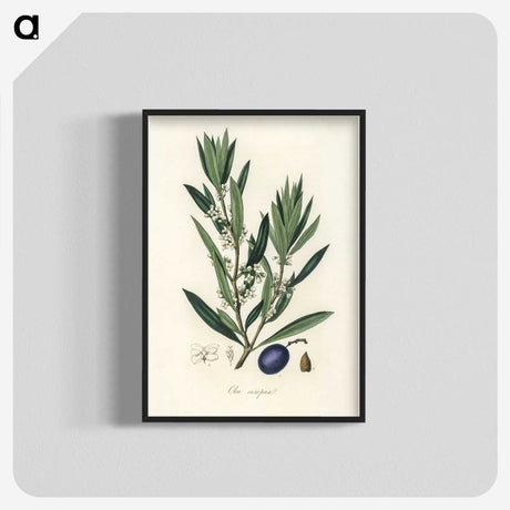 1-22_Medical-Botany_blk-crop