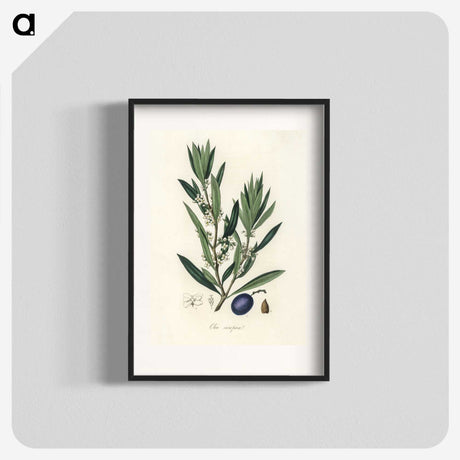 1-22_Medical-Botany_blk