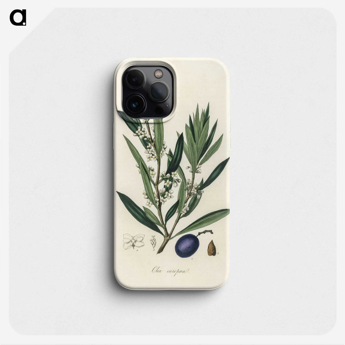 1-22_Medical-Botany_phone